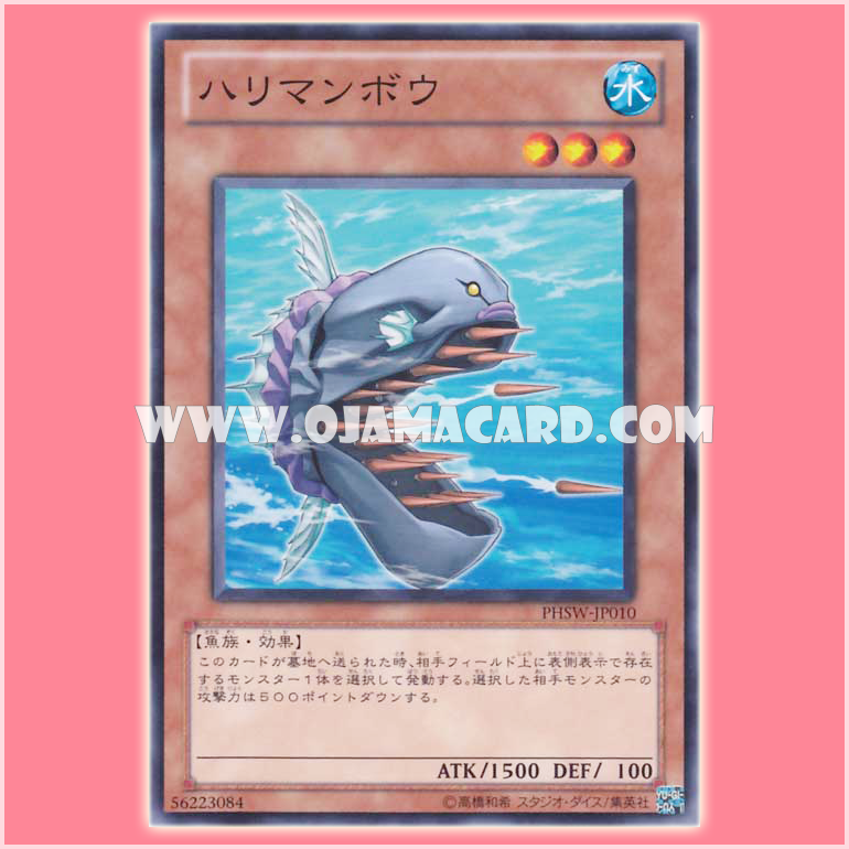 PHSW-JP010 : Needle Sunfish (Common)