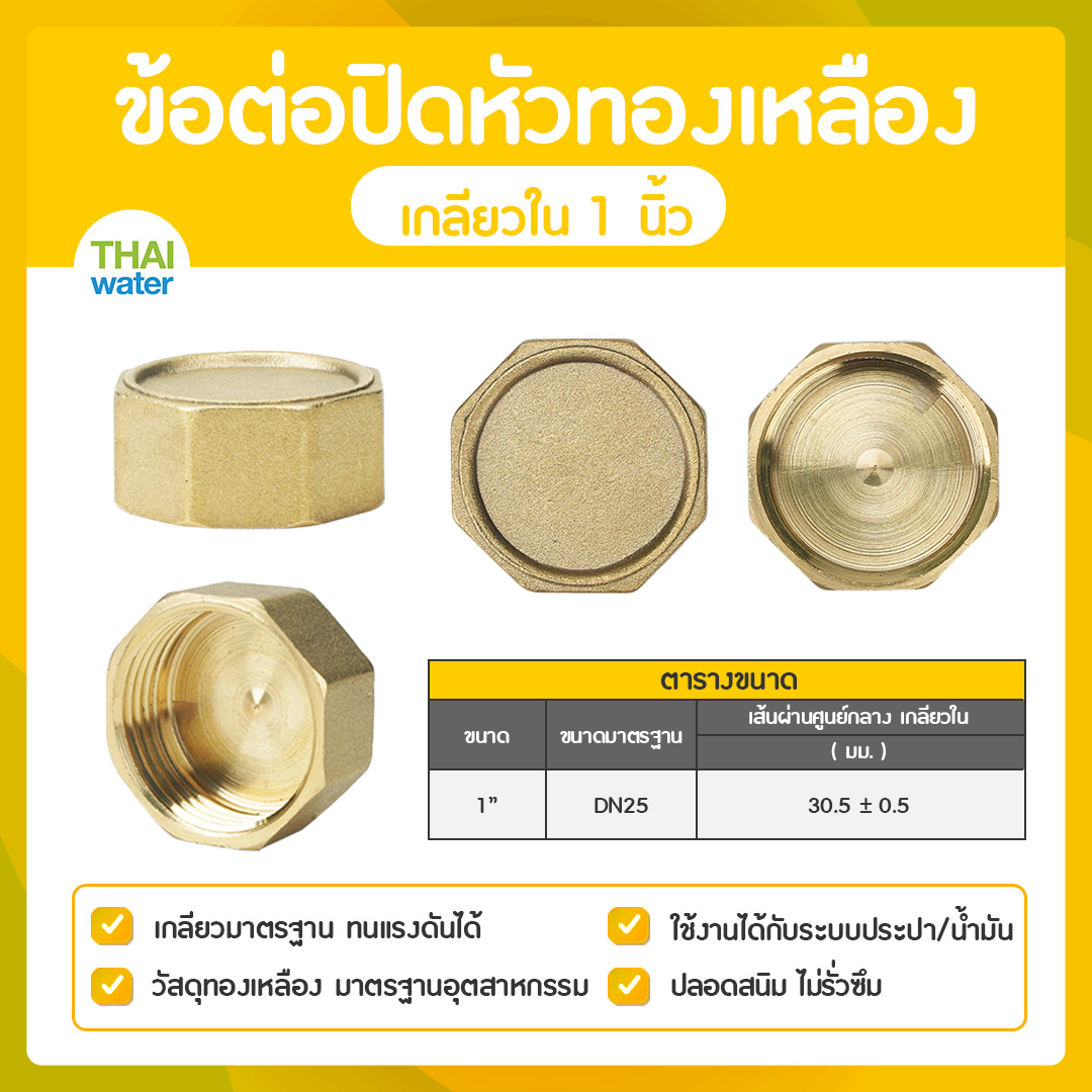 01-DN25 ข้อต่อปิดหัวทองเหลืองเกลียวใน 1 นิ้ว