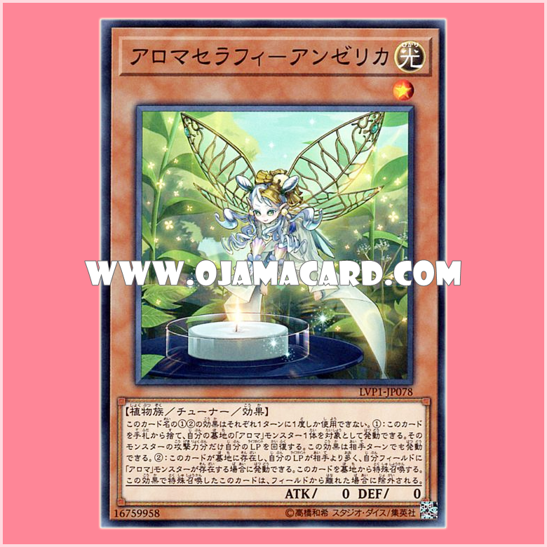 LVP1-JP078 : Aromaseraphy Angelica (Common)
