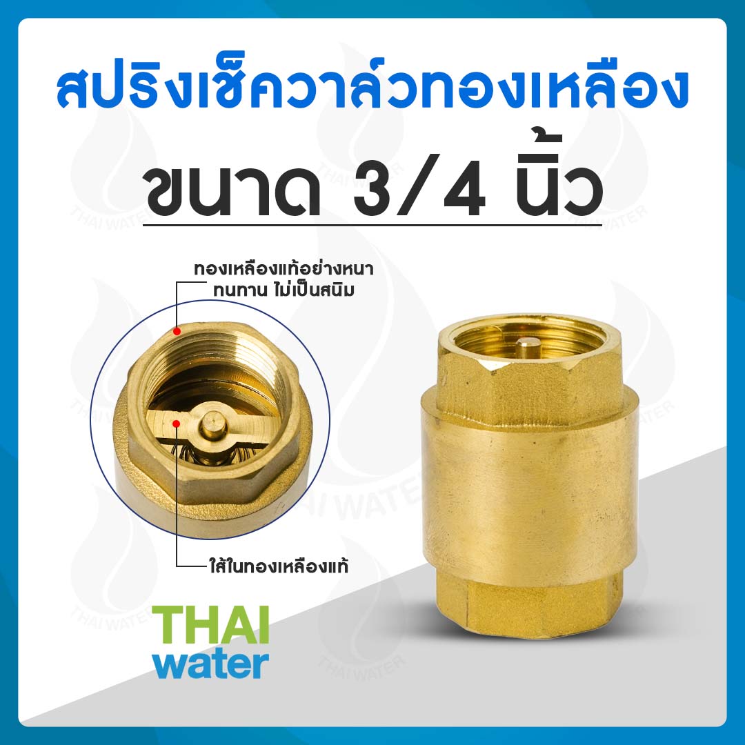 สปริงเช็ควาล์ว 3/4"