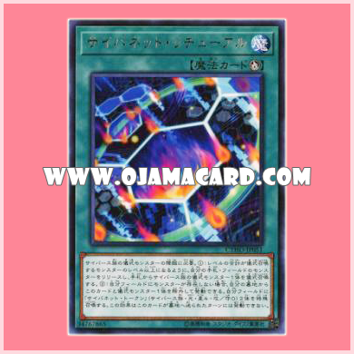 CYHO-JP051 : Cynet Ritual / Cybenet Ritual (Rare)