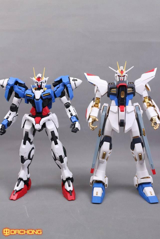 PG 1/60 OO Raiser [TT]