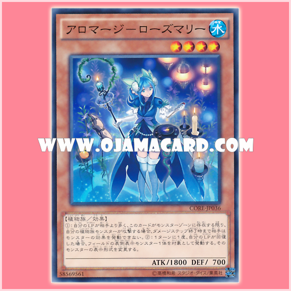 CORE-JP036 : Aromage Rosemary (Common)
