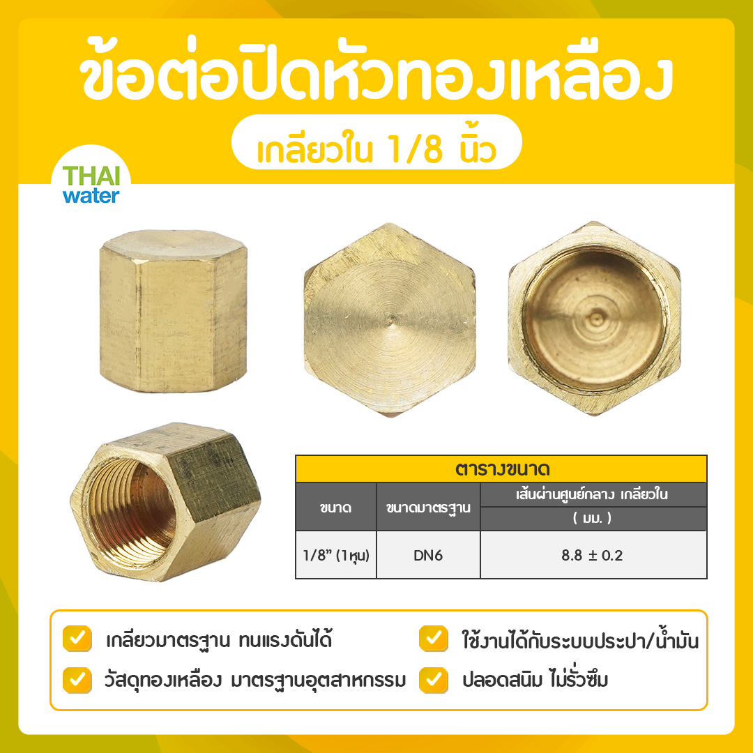 01-DN06 ข้อต่อปิดหัวทองเหลืองเกลียวใน 1/8 นิ้ว