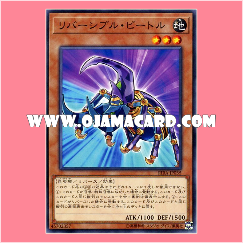 RIRA-JP035 : Reversible Beetle (Common)