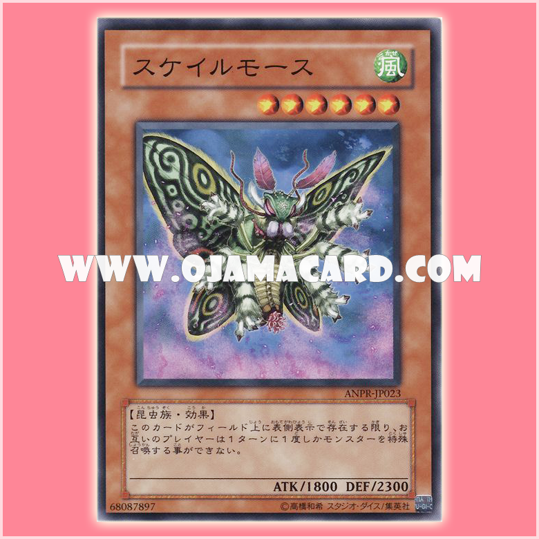 ANPR-JP023 : Scary Moth / Scare Moth (Common)