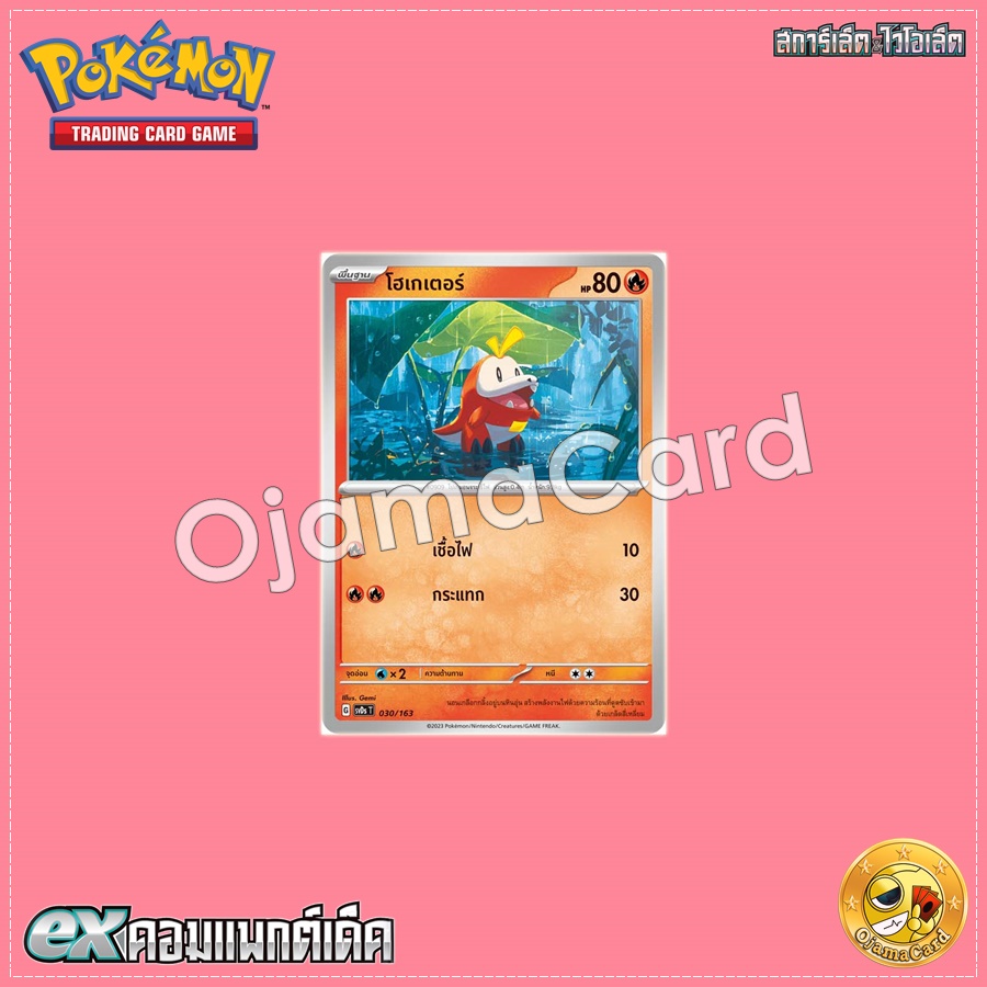 030/163 : โฮเกเตอร์ [SVDST]