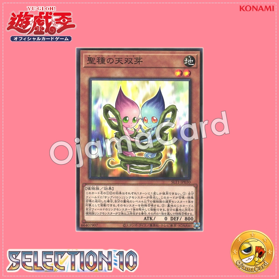 SLT1-JP030 : Sunseed Twin / San Seed Twin (Common)