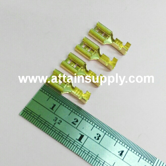 หางปลาทองเหลือง-แบน No.2