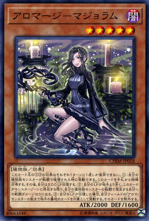 CHIM-JP018 : Aromage Marjoram (Common)