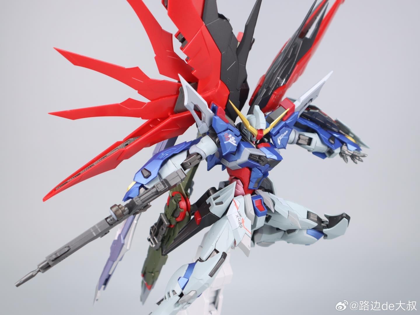 MG 1/100 Destiny Ver. + Wing of Light part (8828) [Daban]