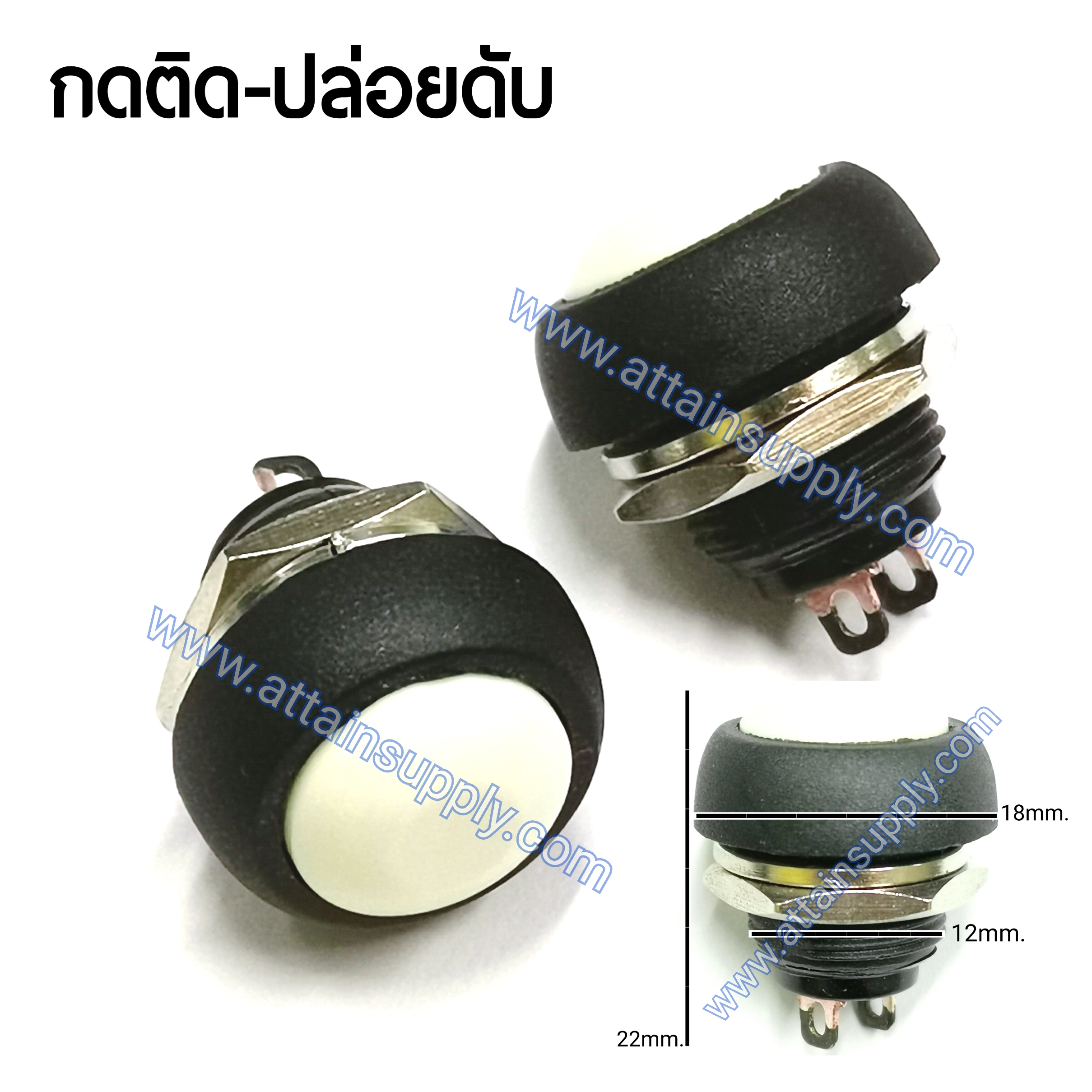 สวิทช์ กดติด-ปล่อยดับ/กลมกระดุม-สีขาว