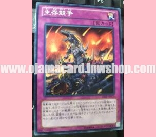 SHSP-JP079 : Survival of the Fittest (Common)