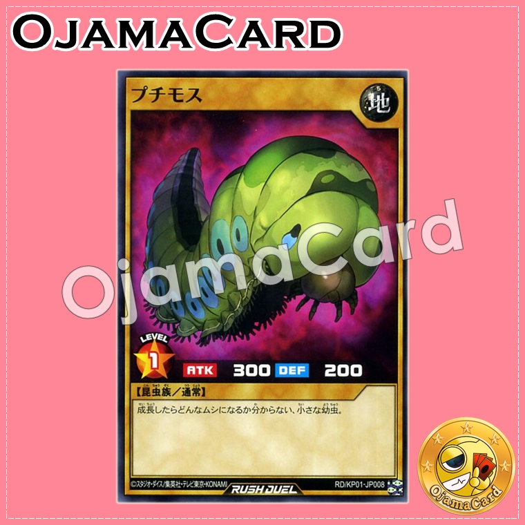 RD/KP01-JP008 : Petit Moth (Common)