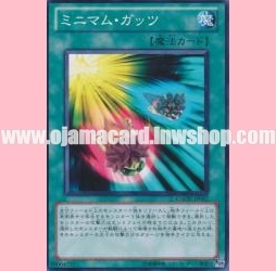 GAOV-JP052 : Mini-Guts (Common)