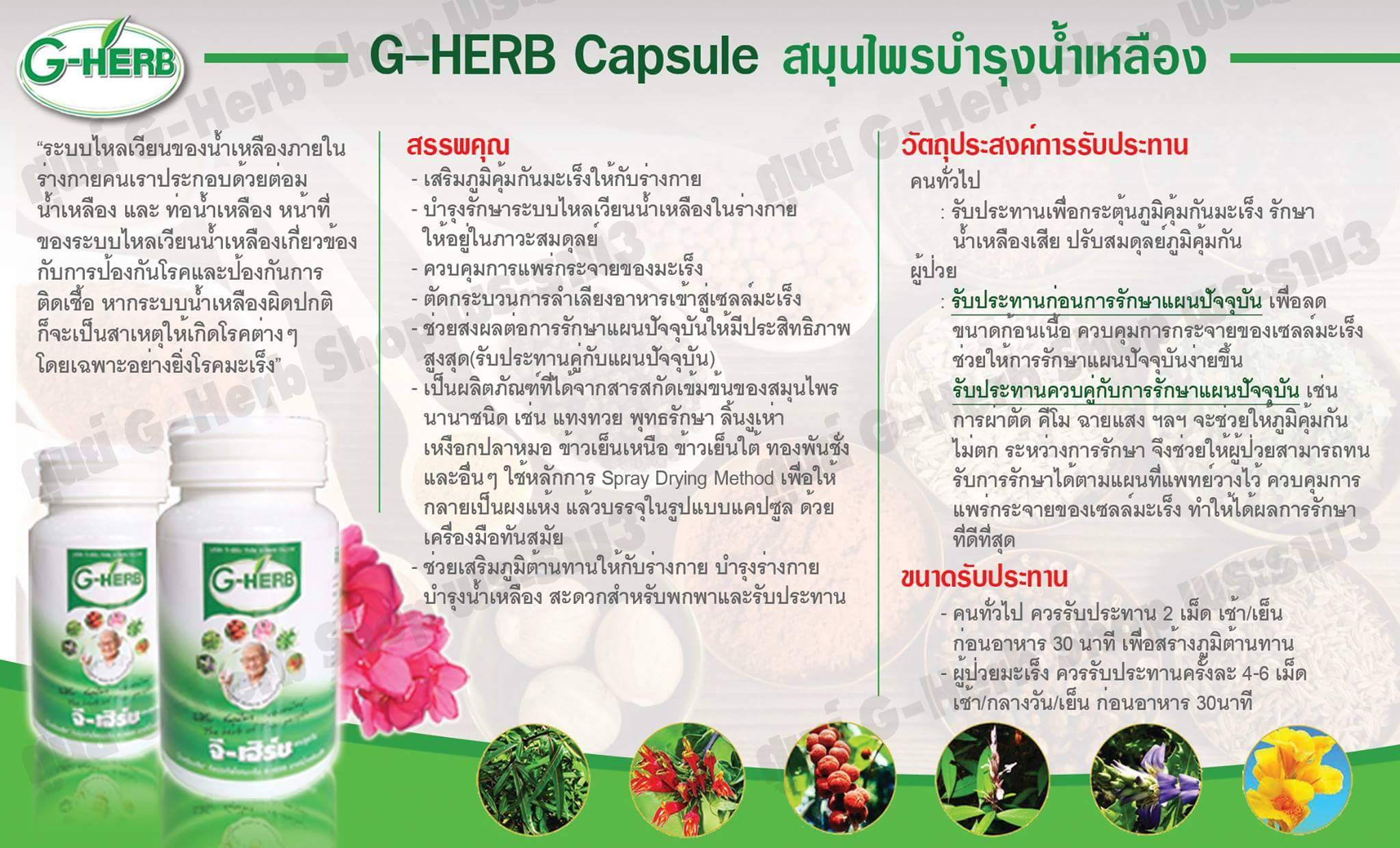 สมุนไพรบำรุงน้ำเหลือง G-Herb Capsule 1