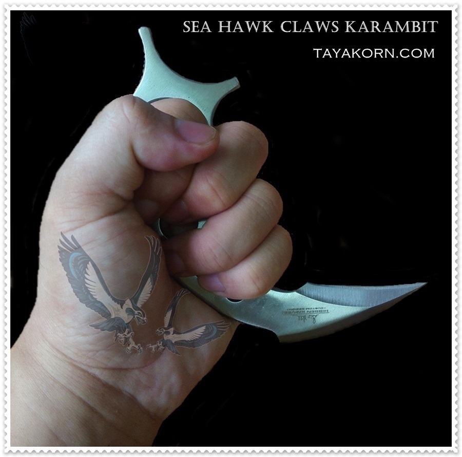 มีดคารัมบิตเหยี่ยวทะเล Sea Hawk Claws Karambit Knife