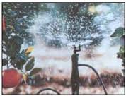 ปั๊มน้ำ DC24V รุ่น SEAFLO-40 แรงดัน 2.8 บาร์ ( ปั๊มสูบน้ำ/พ่นหมอก/สปริงเกอร์ )