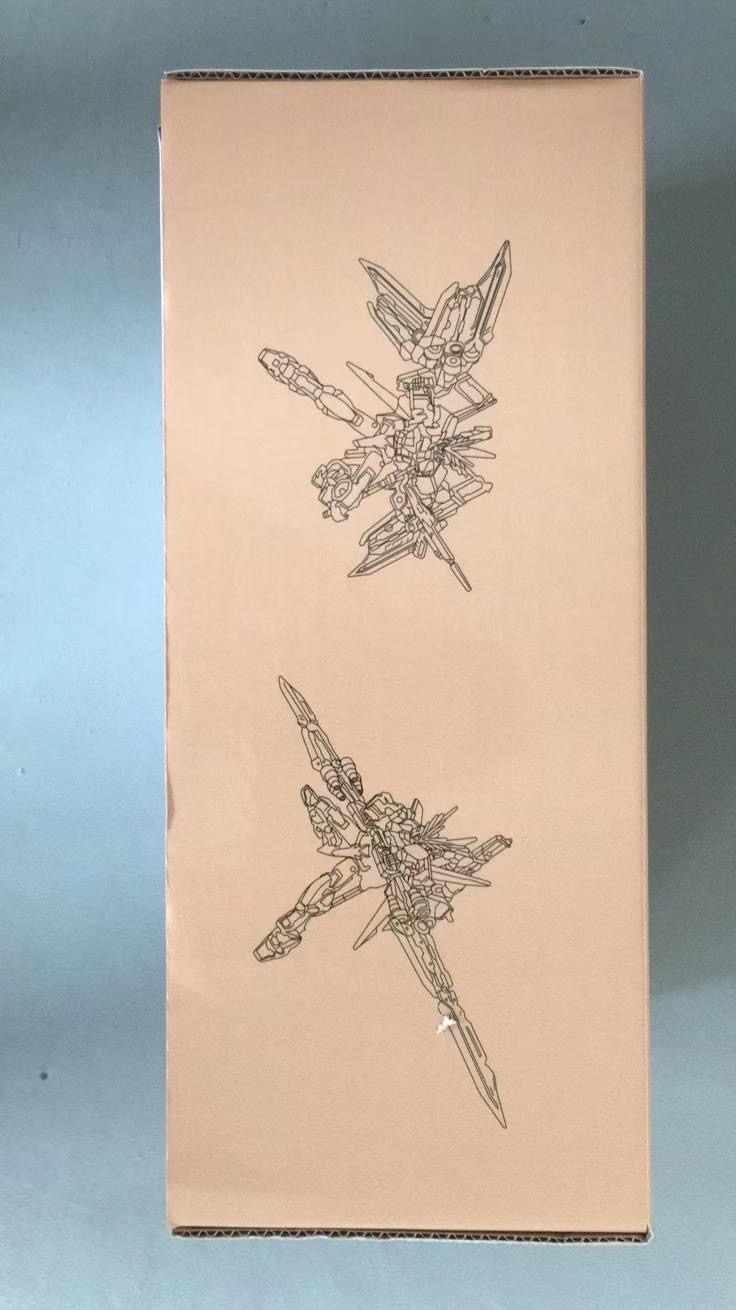 HG 1/144 Astray Red Dragon (58A) [Daban]