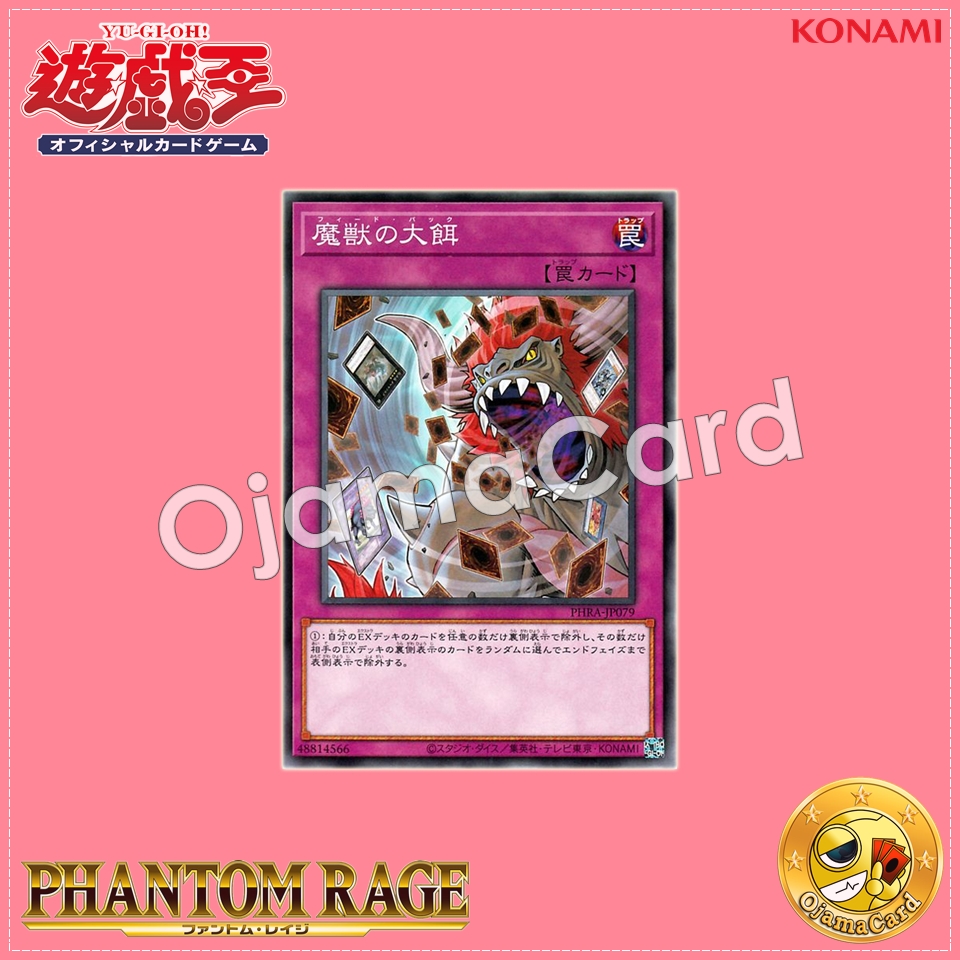 PHRA-JP079 : Feed Back (Common)