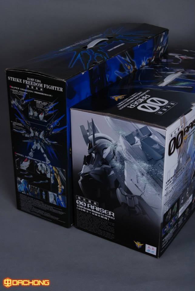 PG 1/60 OO Raiser [TT]