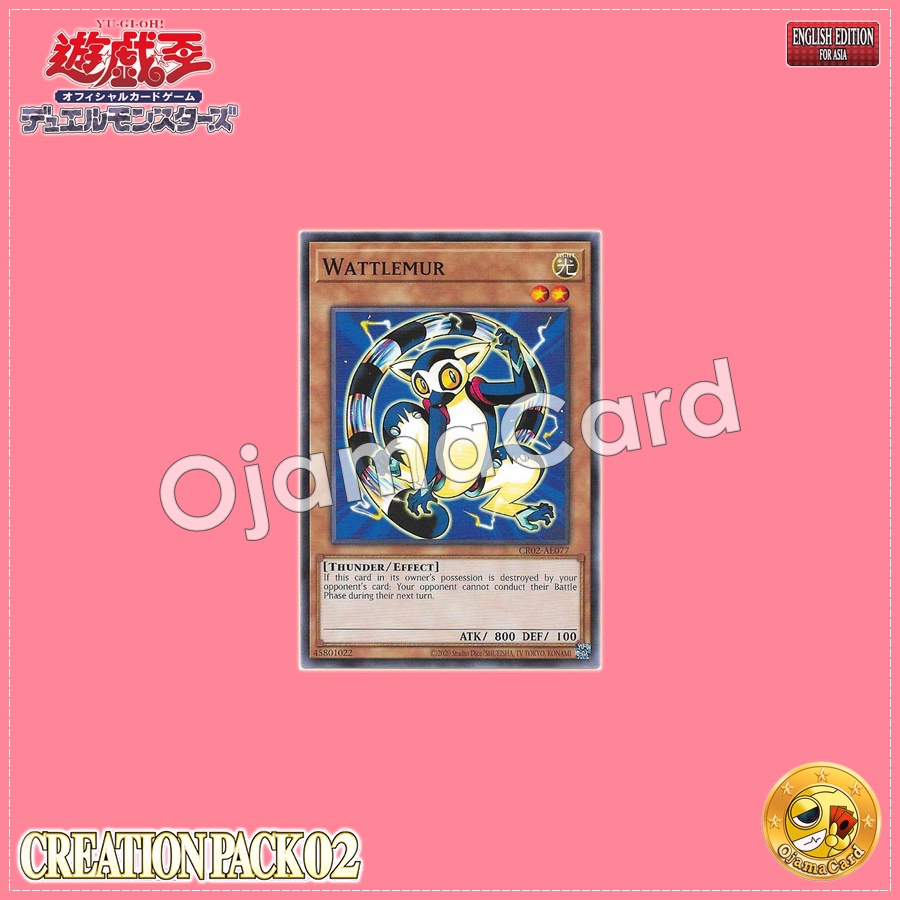 CR02-AE077 : Wattlemur / Eleclemur (Common)