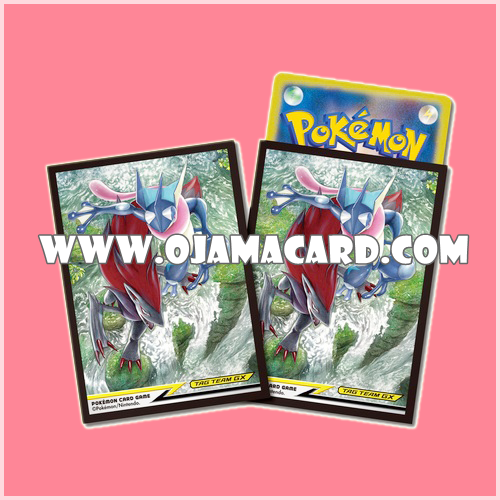Pokémon Card Game Deck Shield | Card Sleeves — Gekkoga & Zoro Arc TAG TEAM GX「65ct.」