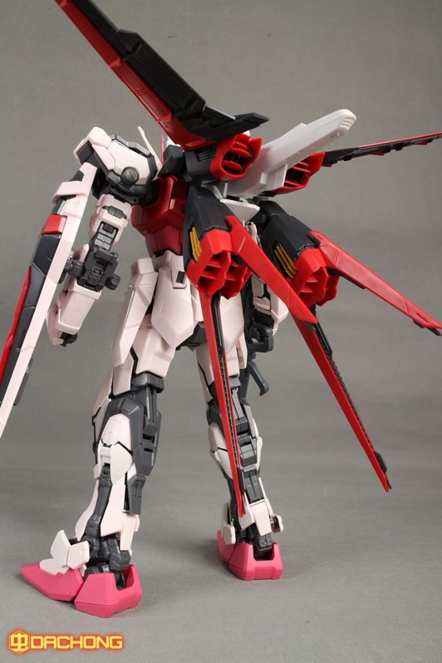 PG 1/60 Strike Rouge + Sky Grasper [Daban]