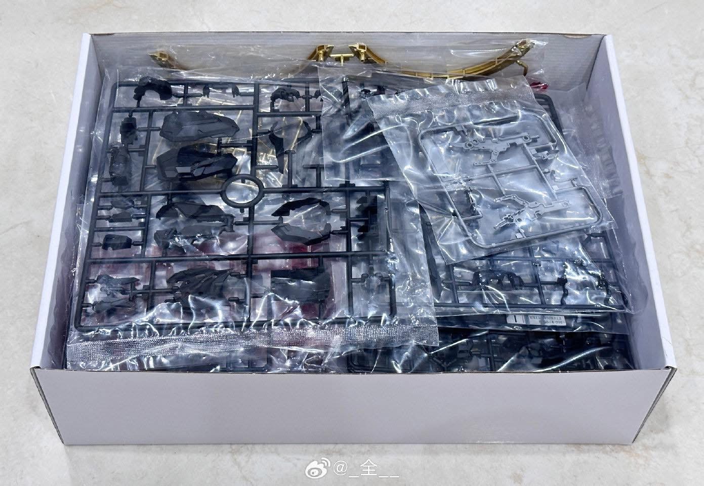 1/100 Eternal Darkness [Shadow Alliance]