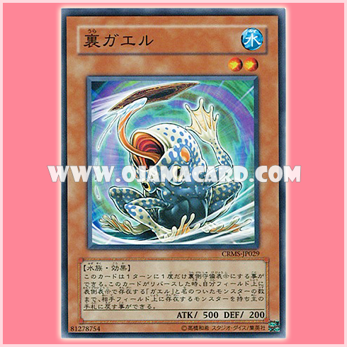 CRMS-JP029 : Flip Flop Frog / Reverse Frog (Common) 95%