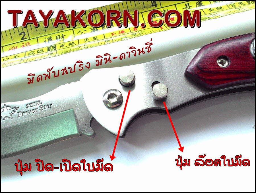 มีดพับมินิดาวินชี่ Mini-Davinci Folding Knife (มีดพับสปริง)