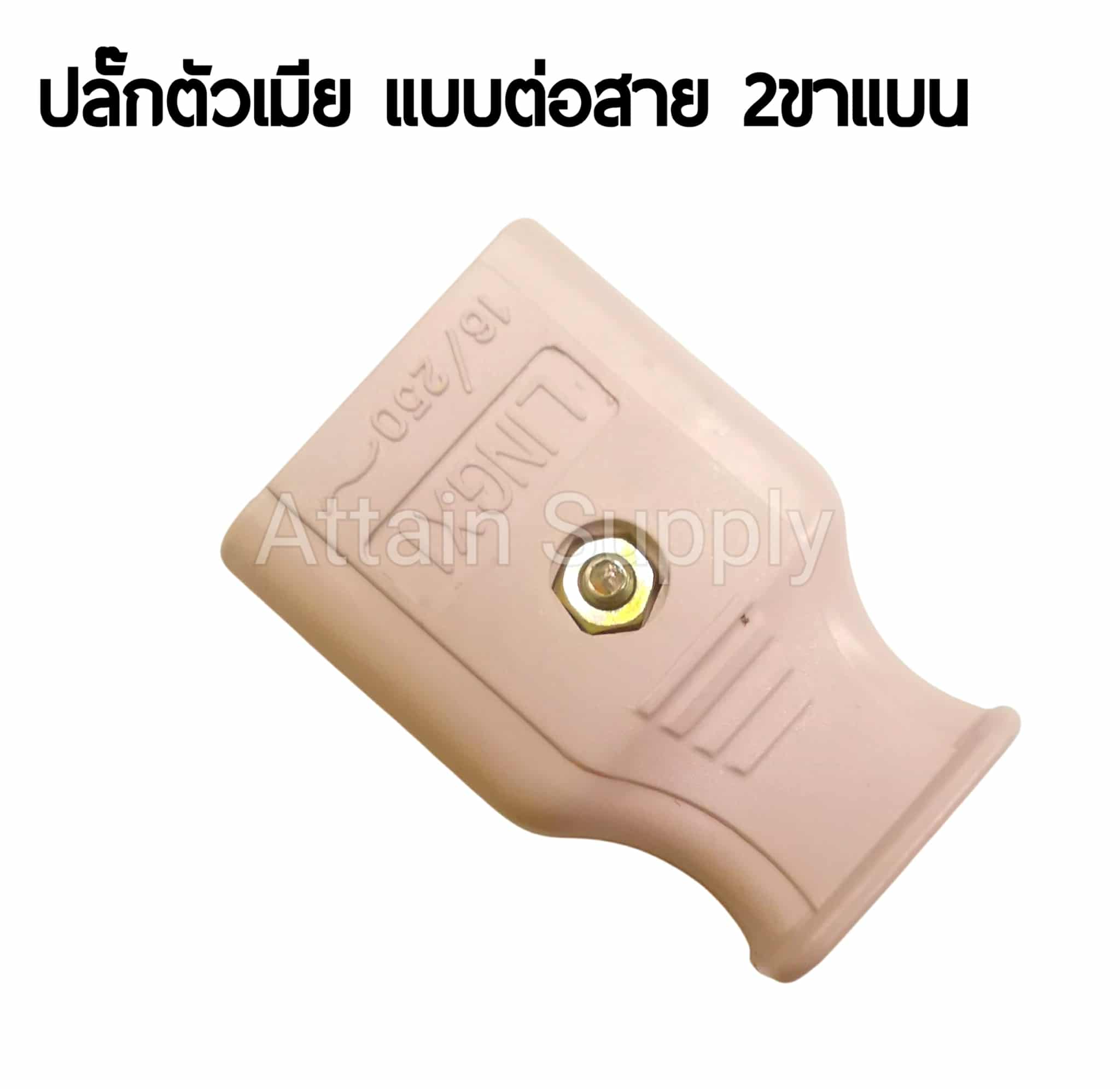 ปลั๊กตัวเมีย 2ขาแบน แบบต่อสาย