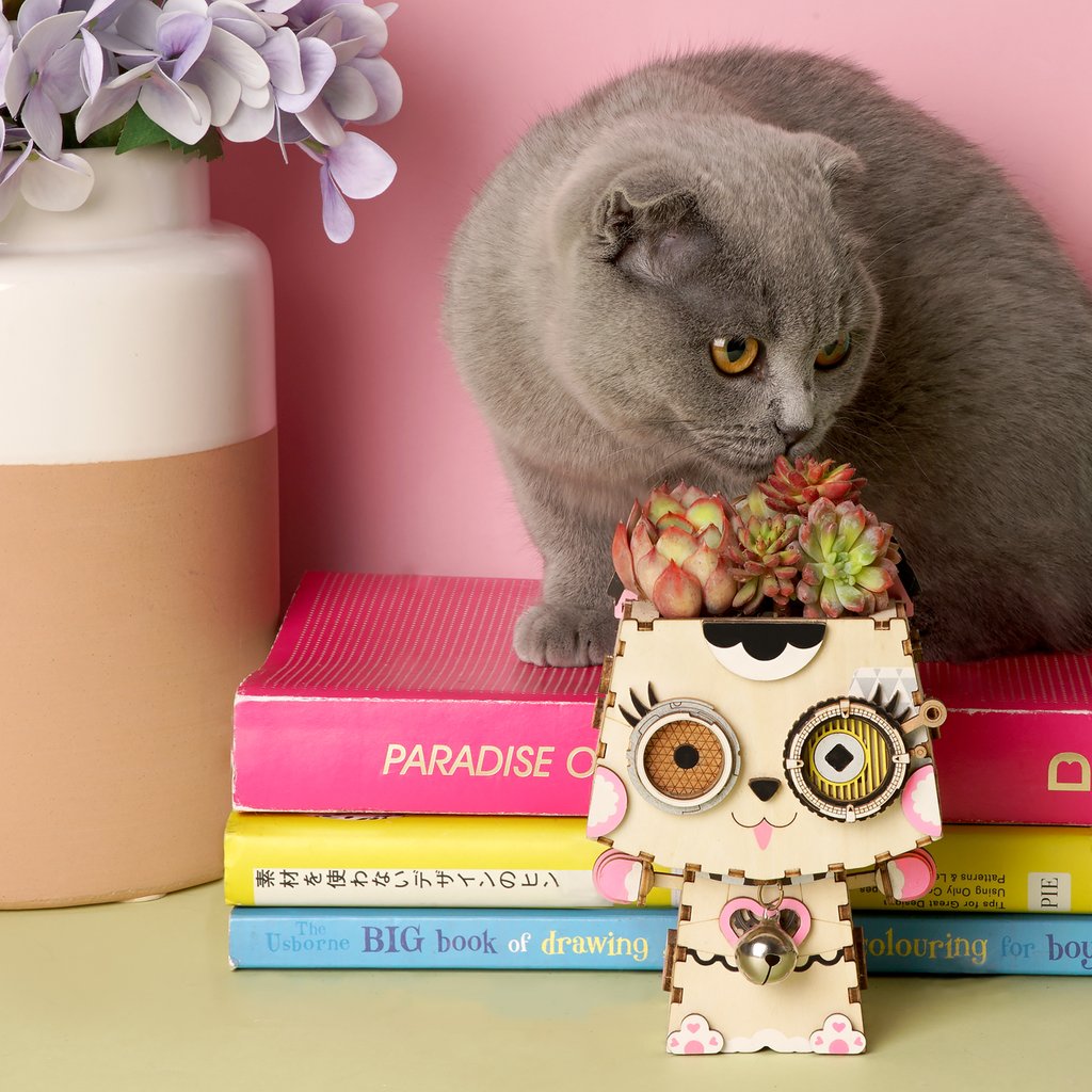 DIY Flower Pot - Pot Kitty -กระถางต้นไม้