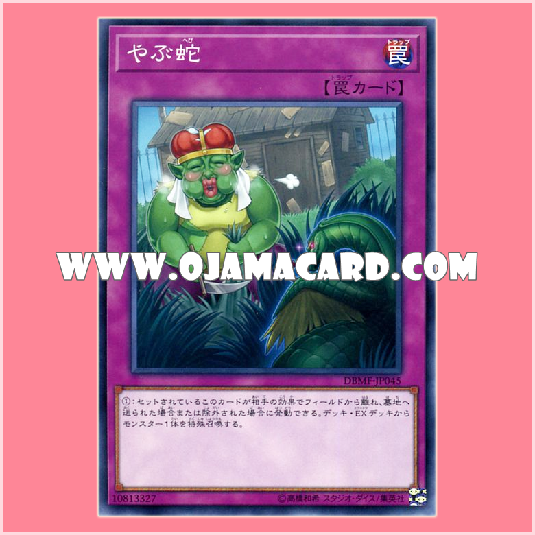 DBMF-JP045 : Waking the Dragon / Stirring Up the Snake's Nest (Common)