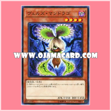 ST18-JP013 : Evilswarm Mandragora / Verz Mandrago (Common)