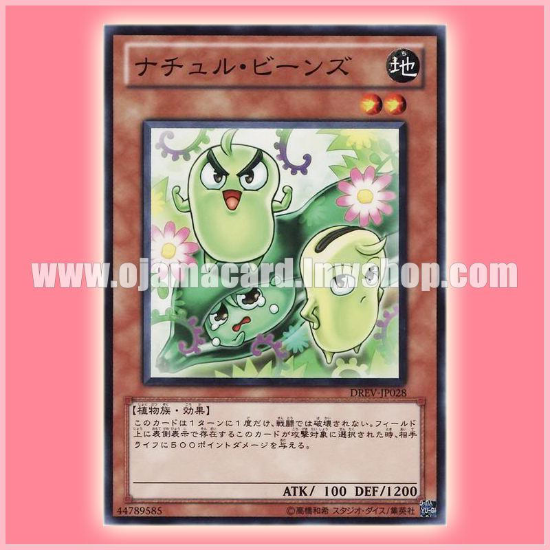 DREV-JP028 : Naturia Beans / Naturu Beans (Common)