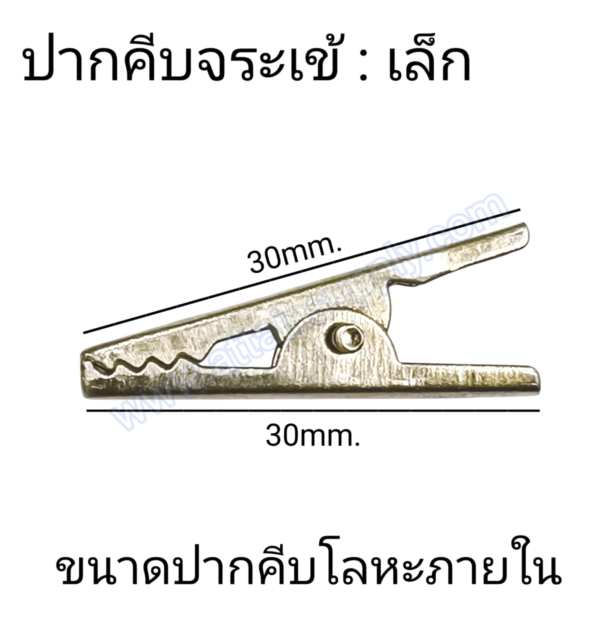 ปากคีบจระข้-เล็ก (แบบคู่)