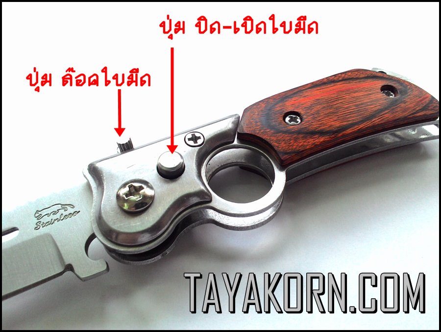 มีดพับ มินิ-โคนัน Mini-Conan Folding Knife (มีดสปริง)