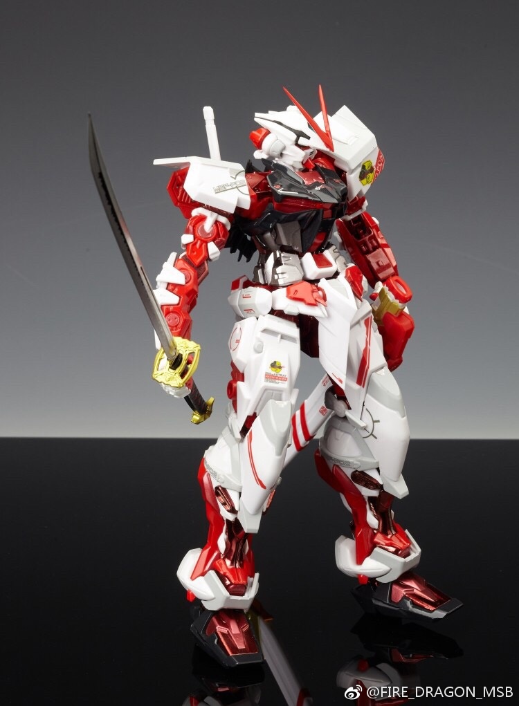 Metal build 1/100 ASTRAY RED FRAME + Back Pack part [Fired Dragon]