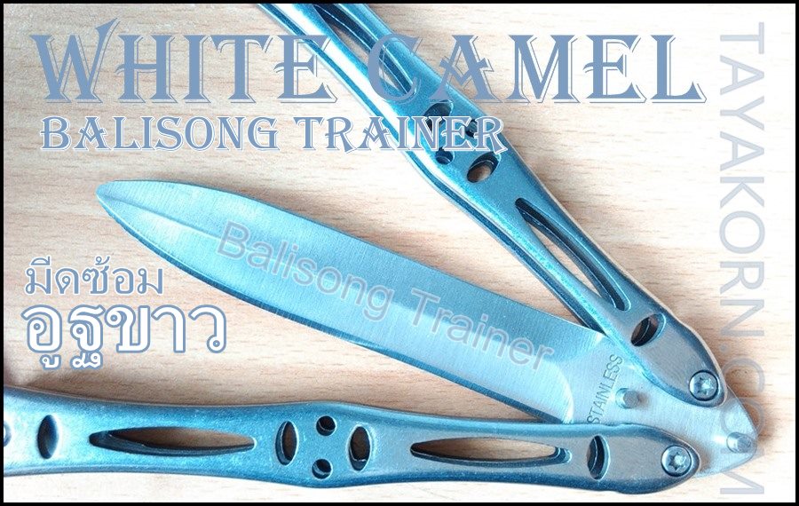 มีดซ้อมควง White Camel Balisong Trainer TKBSTr 879A