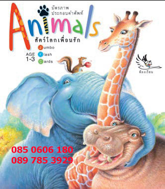 บัตรภาพ สัตว์โลกเพื่อนรัก คำศัพท์ (Animals)
