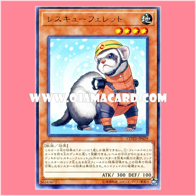 COTD-JP029 : Rescue Ferret (Rare)