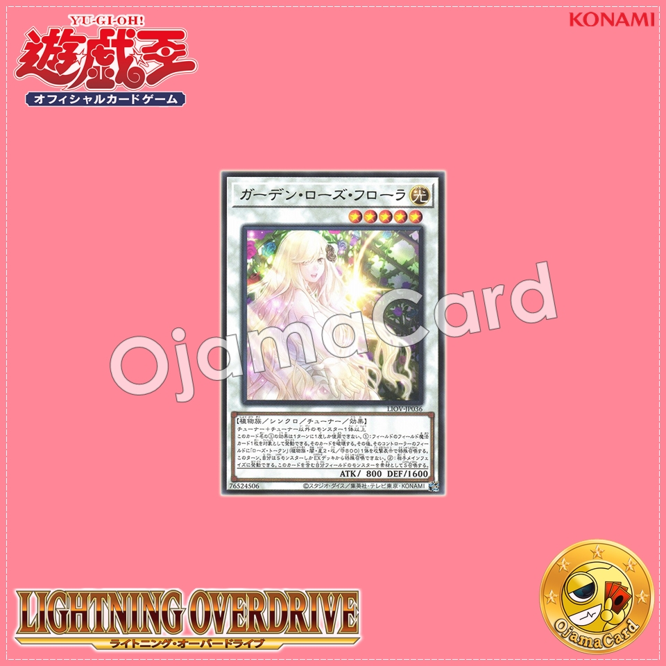 LIOV-JP036 : Garden Rose Flora (Rare)