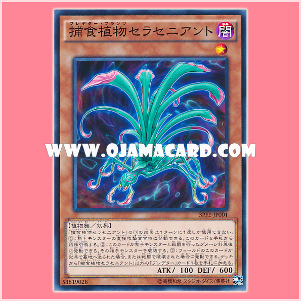 SPFE-JP001 : Predaplant Sarraceniant / Predator Plants Sarraceniant (Common) 98%