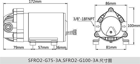 ปั๊มน้ำ ปั๊มอัดเมมเบรน เครื่องกรองน้ำ เครื่องพ่นหมอก SEAFLO RO Pump DC24V 150PSI 800G ( 10 บาร์ )