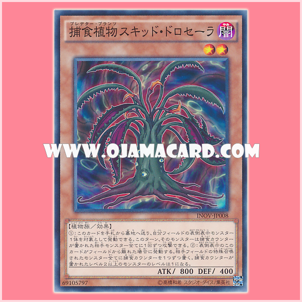 INOV-JP008 : Predator Plant Squid Drosera / Predator Plants Squid Drosera (Common)