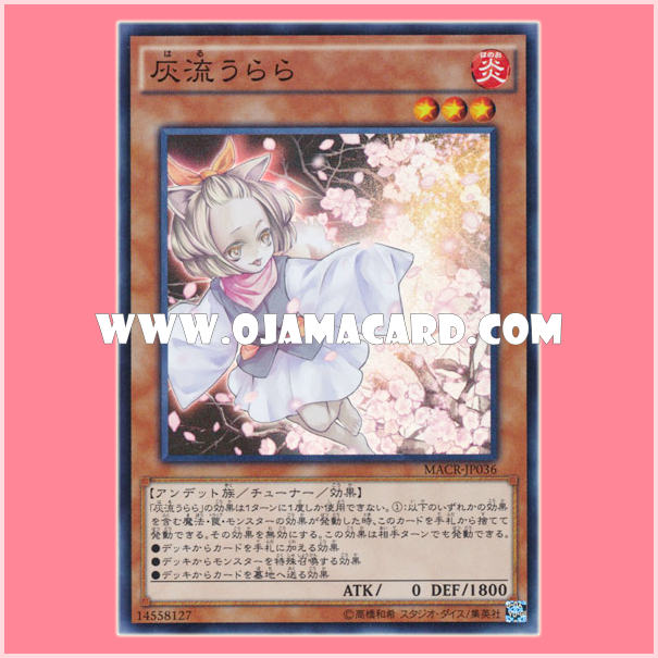 MACR-JP036 : Ash Blossom & Joyous Spring / Haru Urara (Super Rare) 95%