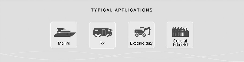 ปั๊มดูดน้ำมัน DC 24V 144W ( Gear Pump )