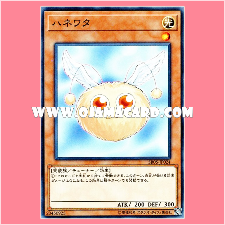 SR05-JP024 : Hanewata / Winged Cotton (Common)