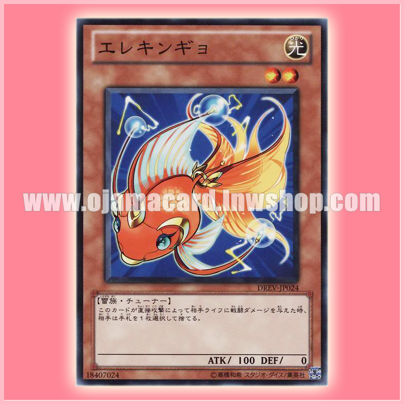 DREV-JP024 : Wattbetta / Elecgoldfish (Common)